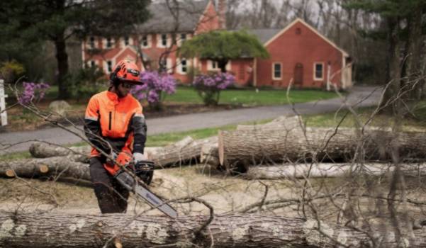 Mężczyzna tnie drewno pilarką akumulatorową.